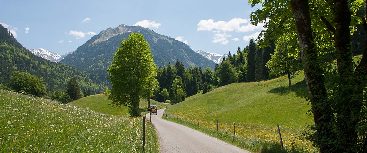 Anreise "elements" Oberstdorf · Hotel · Christlessee