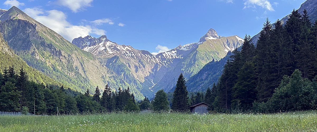 Die Trettachspitze