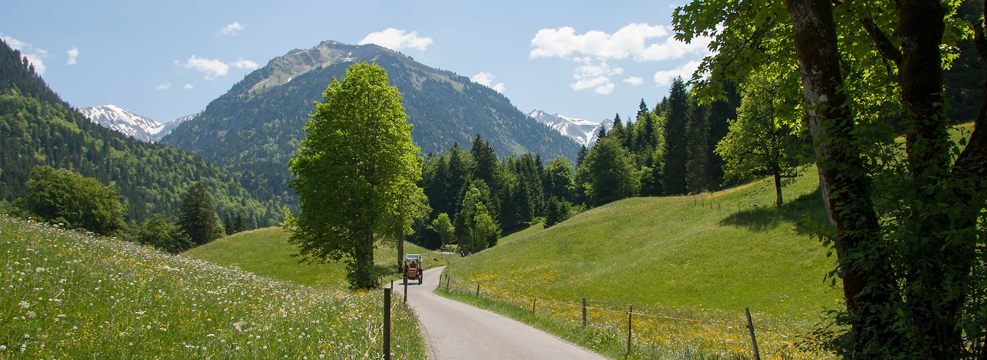 Anreise "elements" Oberstdorf · Hotel · Christlessee