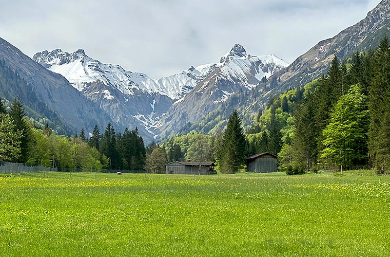 Frühling im Trettachtal