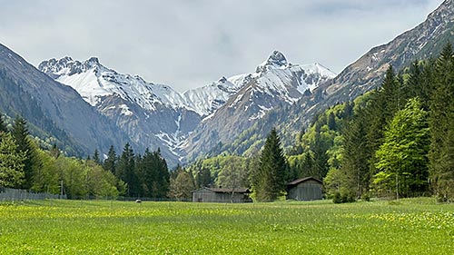 Frühling im Trettachtal