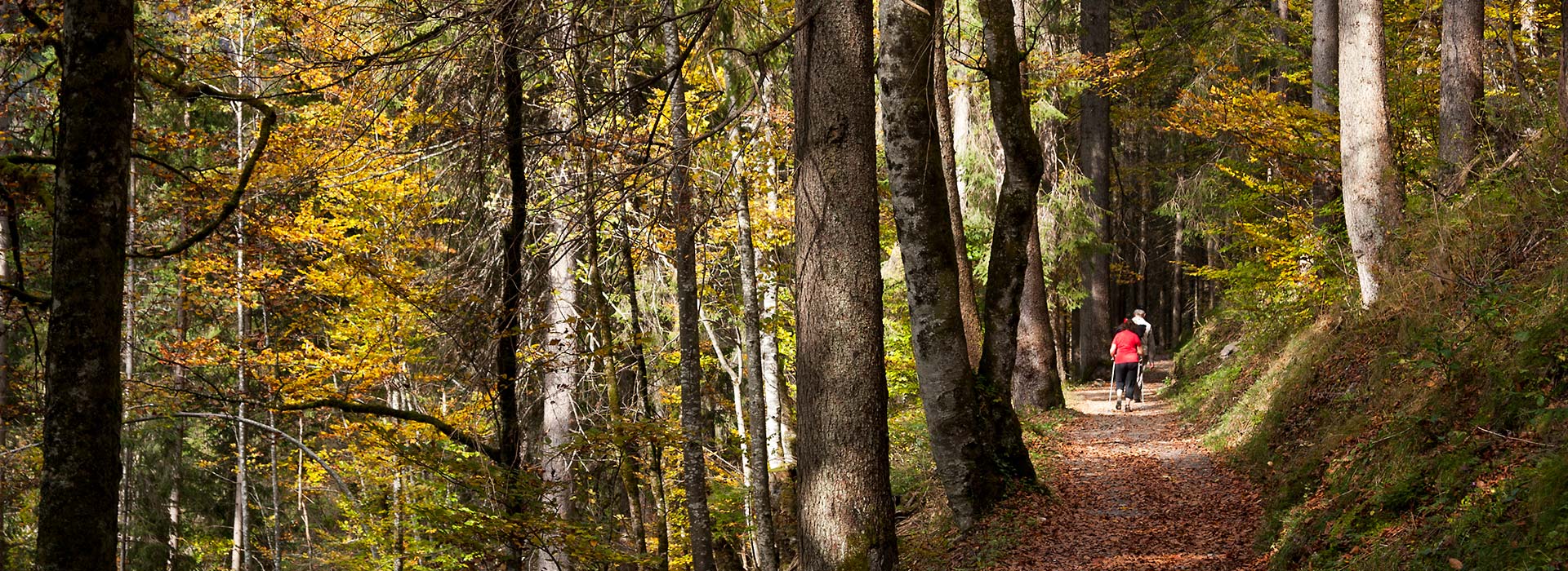 Herbstwanderung im Trettachtal