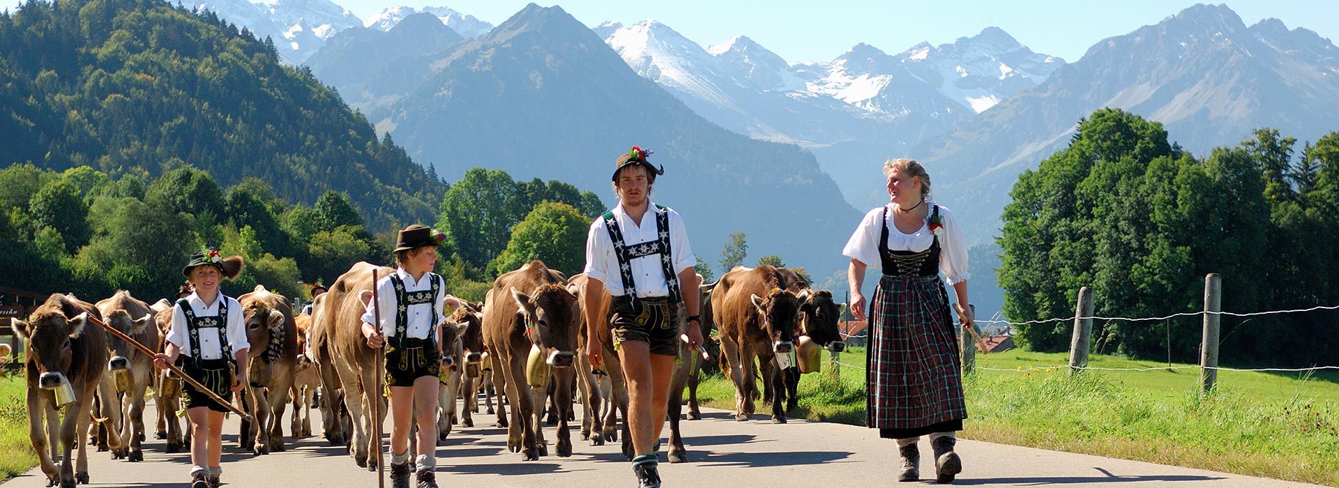 Viehscheid in Oberstdorf