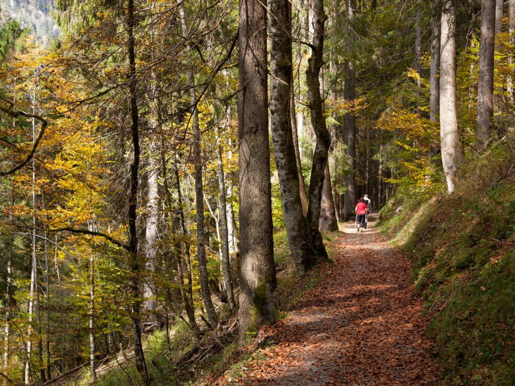 Wanderweg nach Spielmannsau