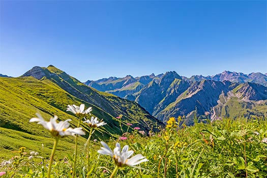 Angebot Oberstdorf Momente