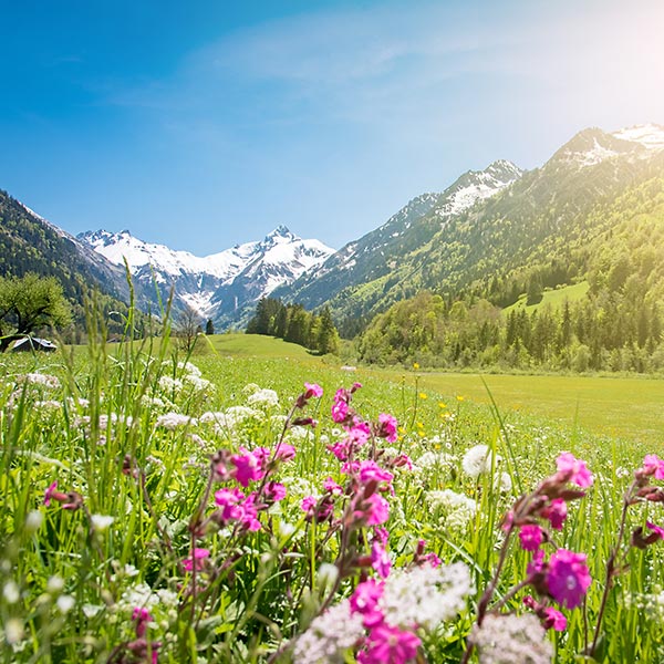 Angebot 4:3 Special Deal im elements Oberstdorf